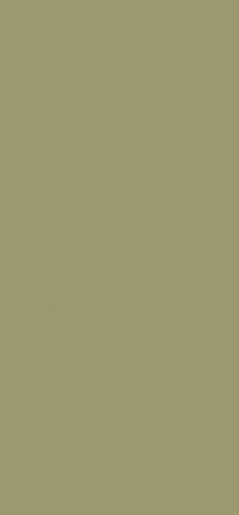 U640 ST9 Olive Green